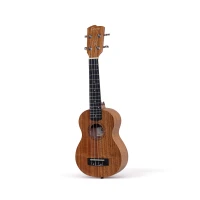 Ukulele Raitea 