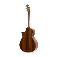 Guitare LGA 200 CE