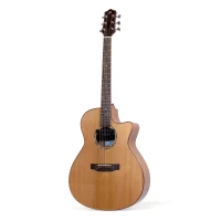 Photo produit : Guitare LM 100 CE 